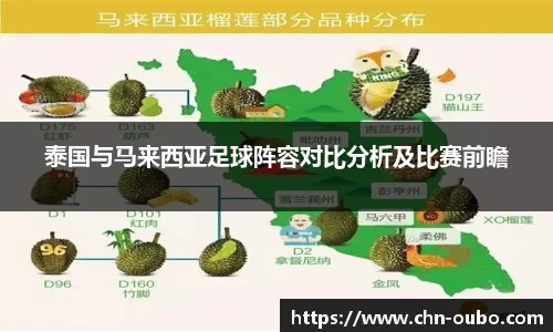 泰国与马来西亚足球阵容对比分析及比赛前瞻